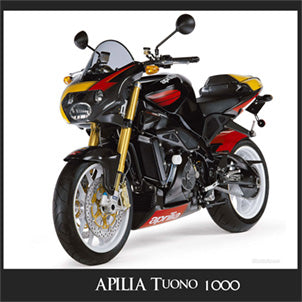 Aprilia_1000 RSV V4 Tuono R (ABS)_2005